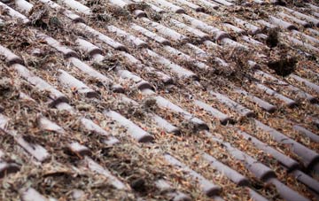 Milton Of Cushnie roof cleaning companies